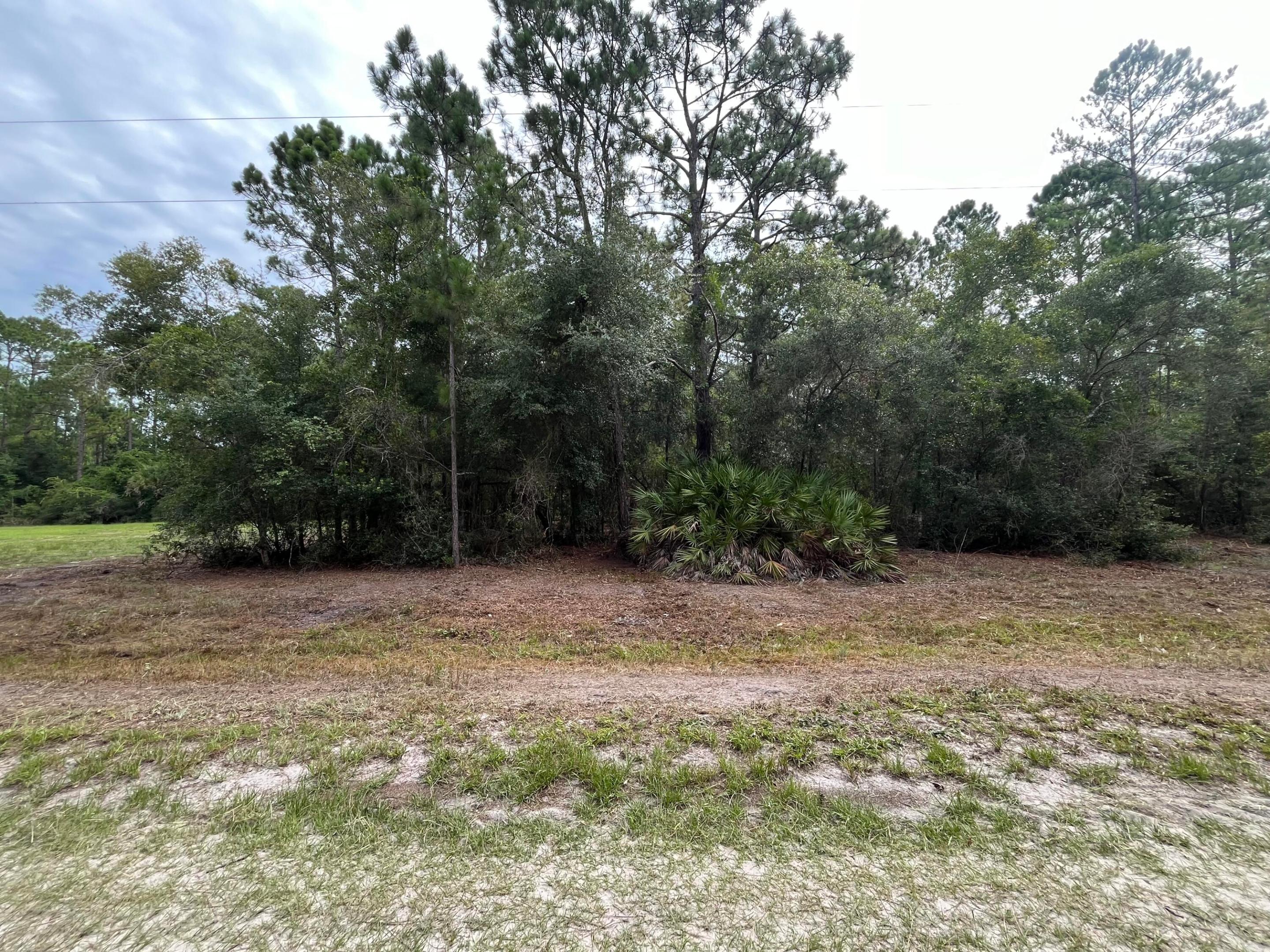 124 Glenside Street, Georgetown, FL 32139, Georgetown