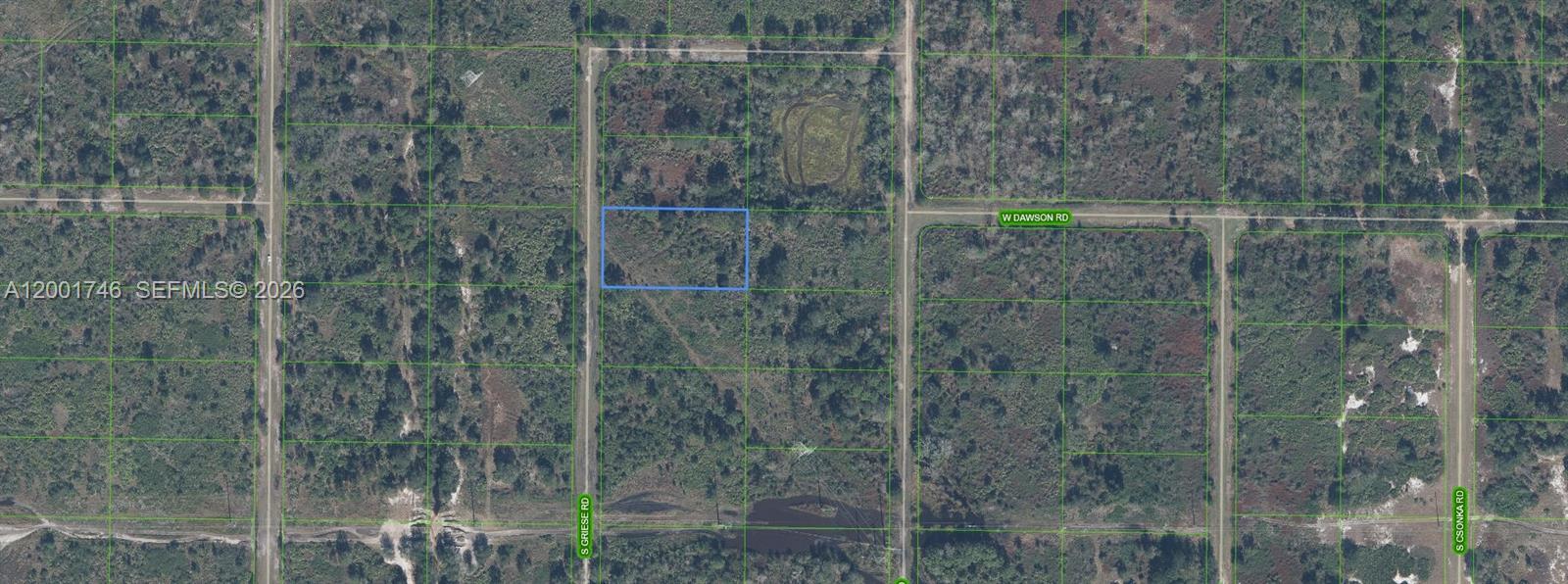 1335 S Griese Road, Avon Park, FL 33825, Avon Park