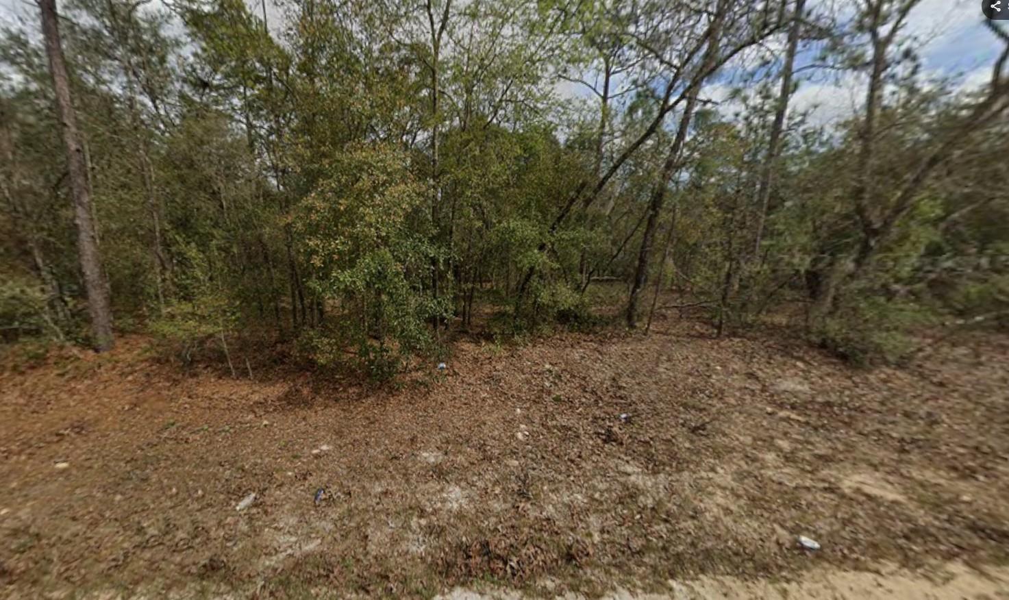Lot 28 Janet Avenue, FL 32148, Interlachen