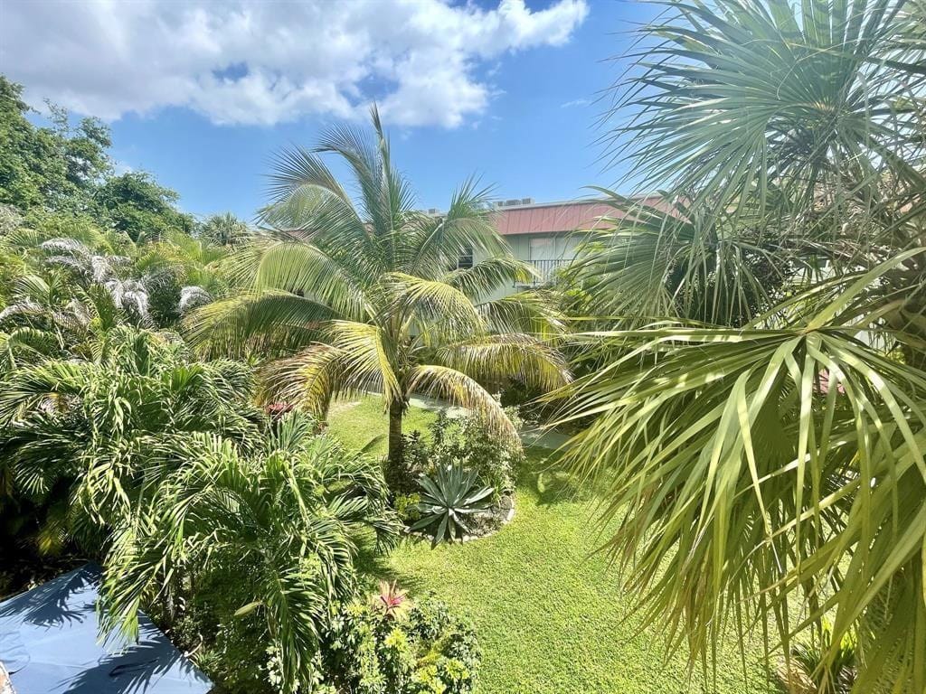 809 W Oakland Park Boulevard J12, Oakland Park, FL 33311 photo 4