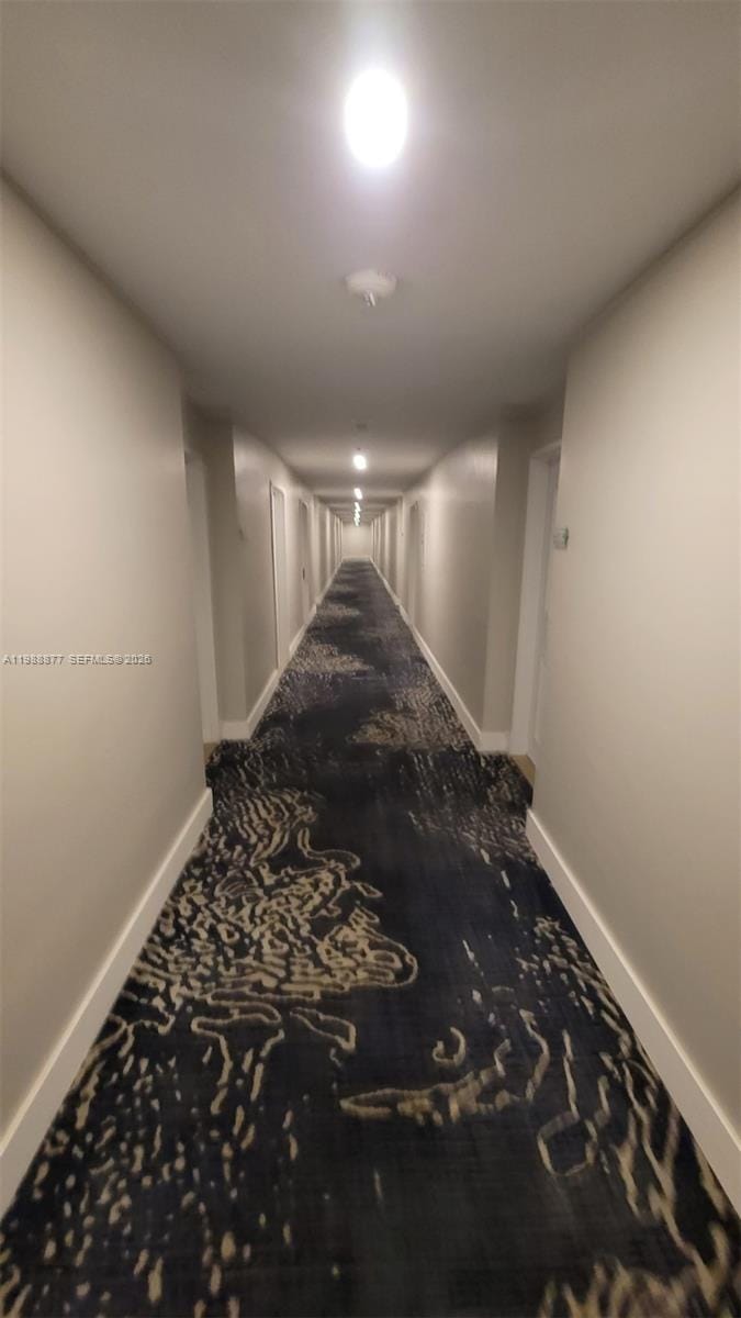 5601 Collins Avenue 1110, Miami Beach, FL 33140 photo 11