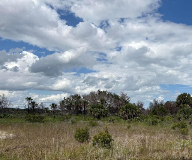 17275 NW 308th Street, Okeechobee, FL 34972