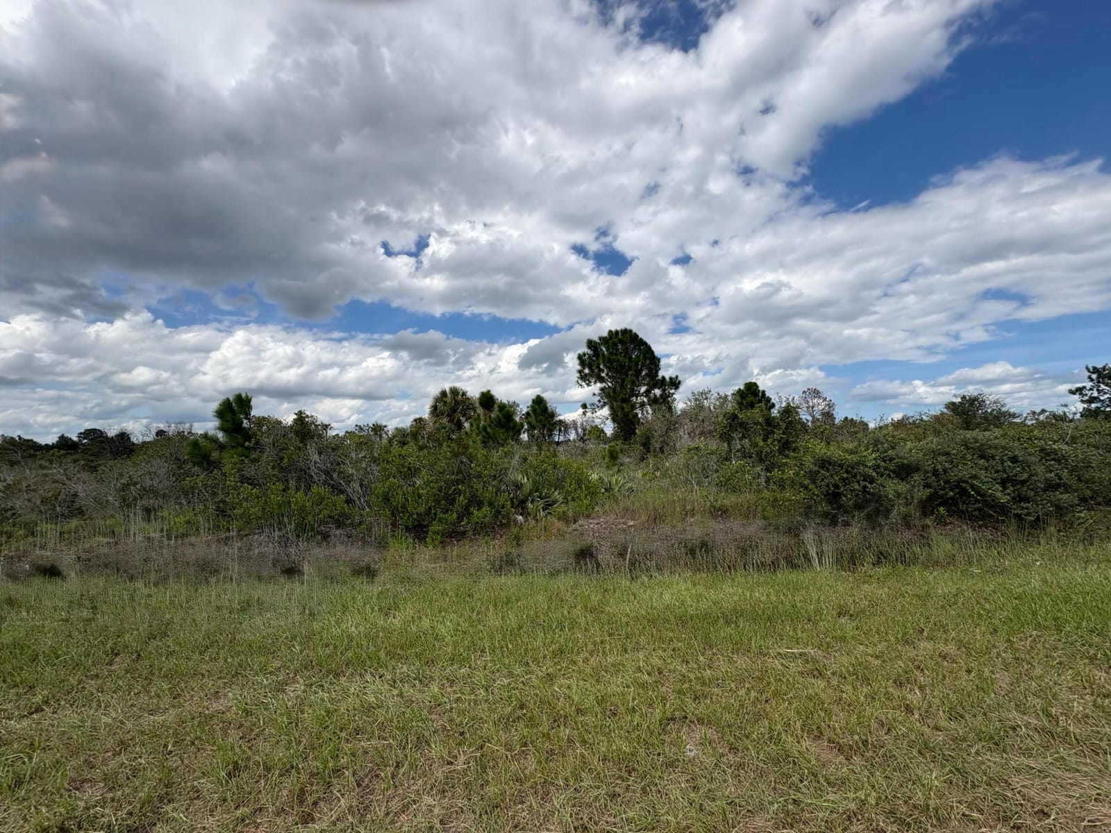 17275 NW 308th Street, Okeechobee, FL 34972 photo 2