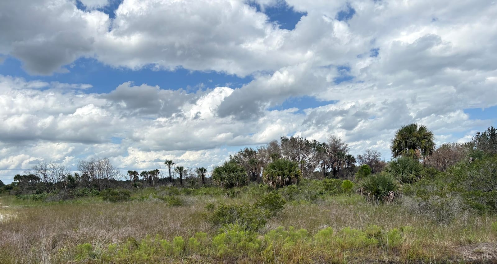 17275 NW 308th Street, Okeechobee, FL 34972 photo 3