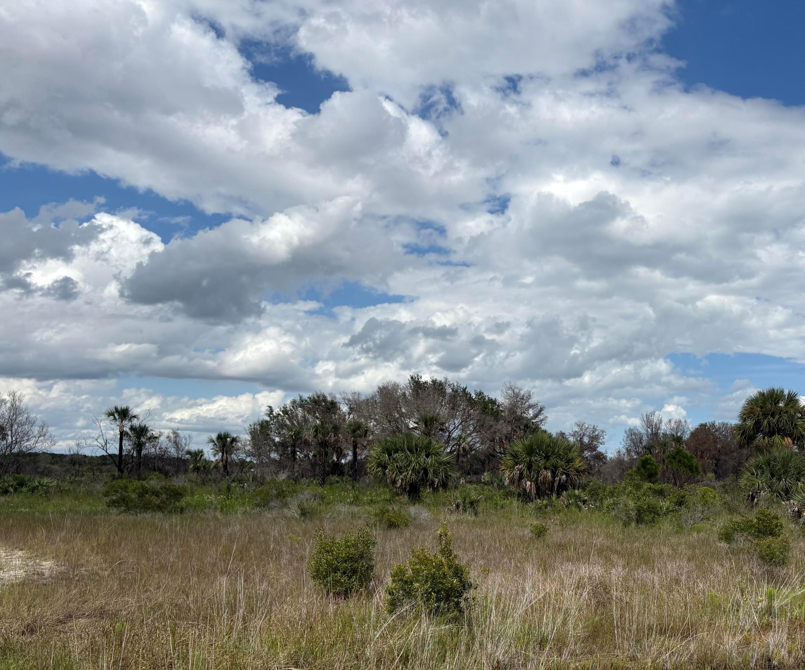 17275 NW 308th Street, Okeechobee, FL 34972, Okeechobee