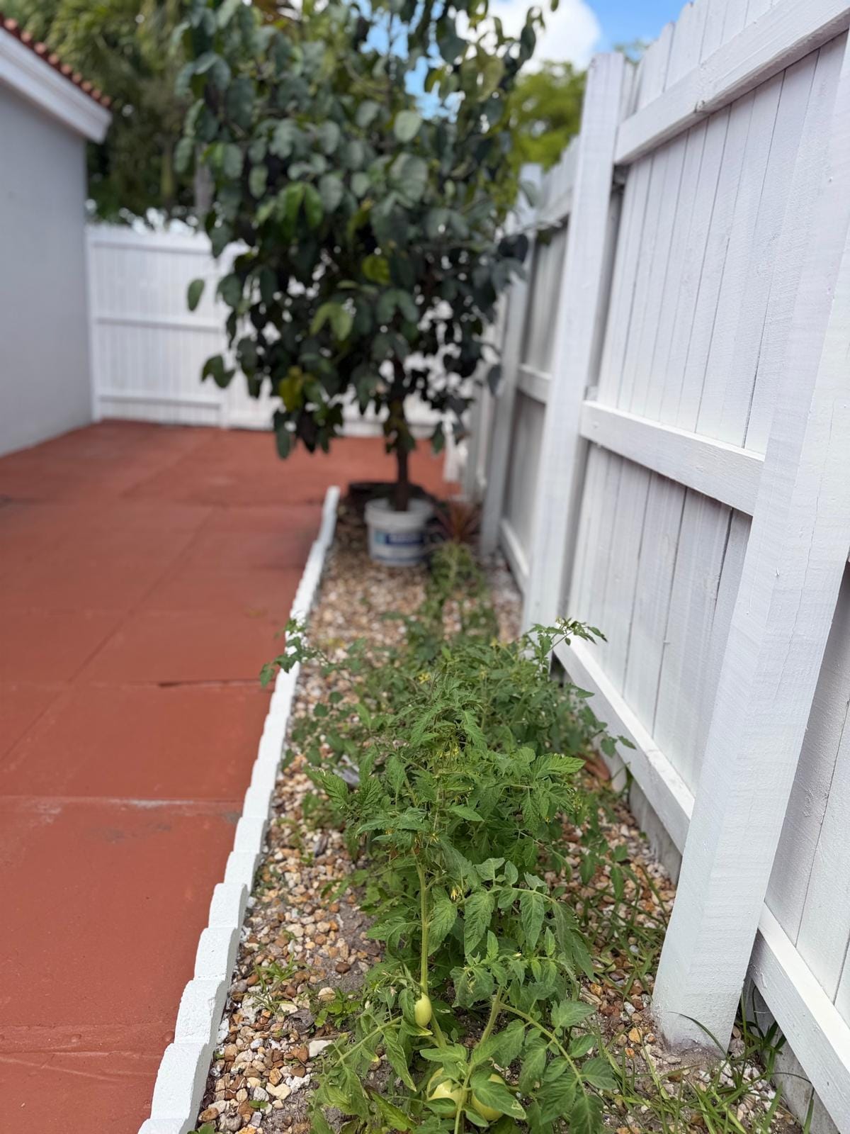 1674 NE 169th Street, North Miami Beach, FL 33162 photo 20