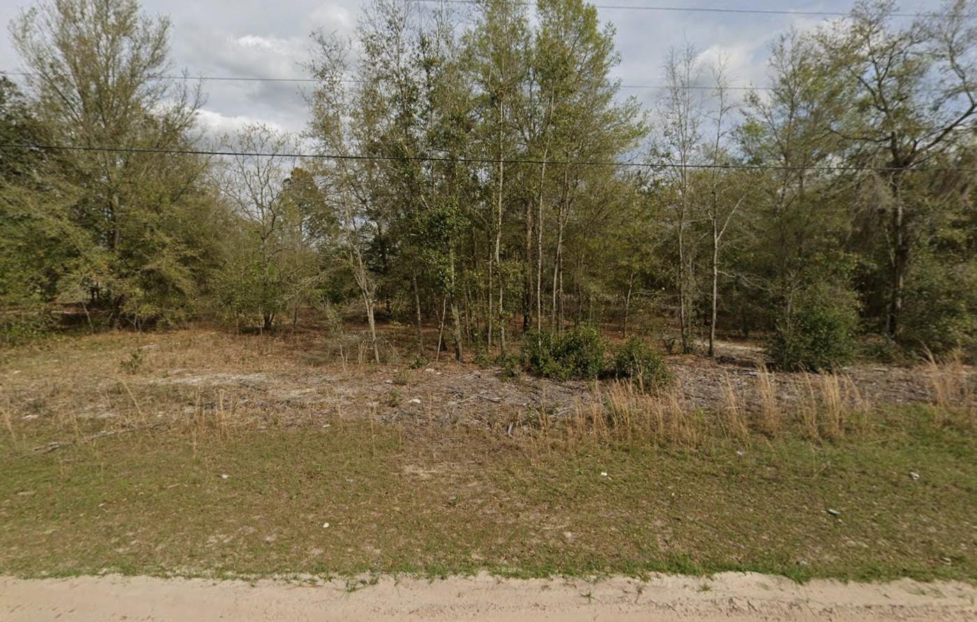 Tbd Marion Avenue, Interlachen, FL 32148, Interlachen