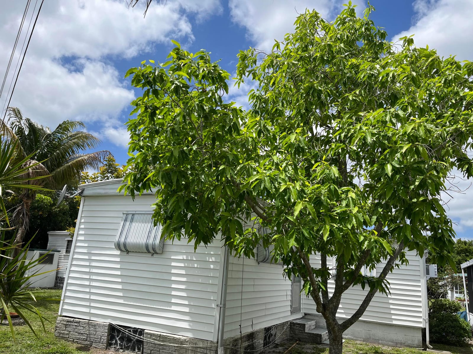 8510 SW 18th Place, Davie, FL 33324 photo 7