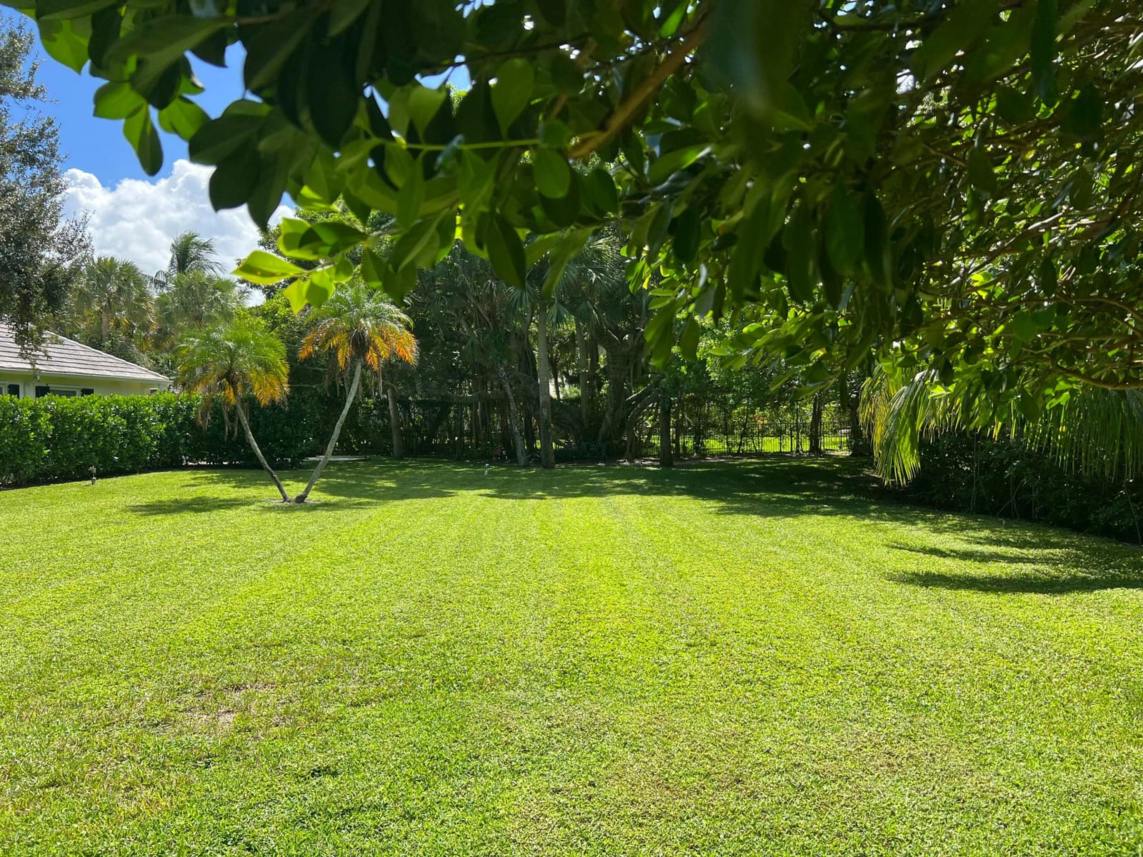 12477 Seminole Boulevard, North Palm Beach, FL 33408 photo 6