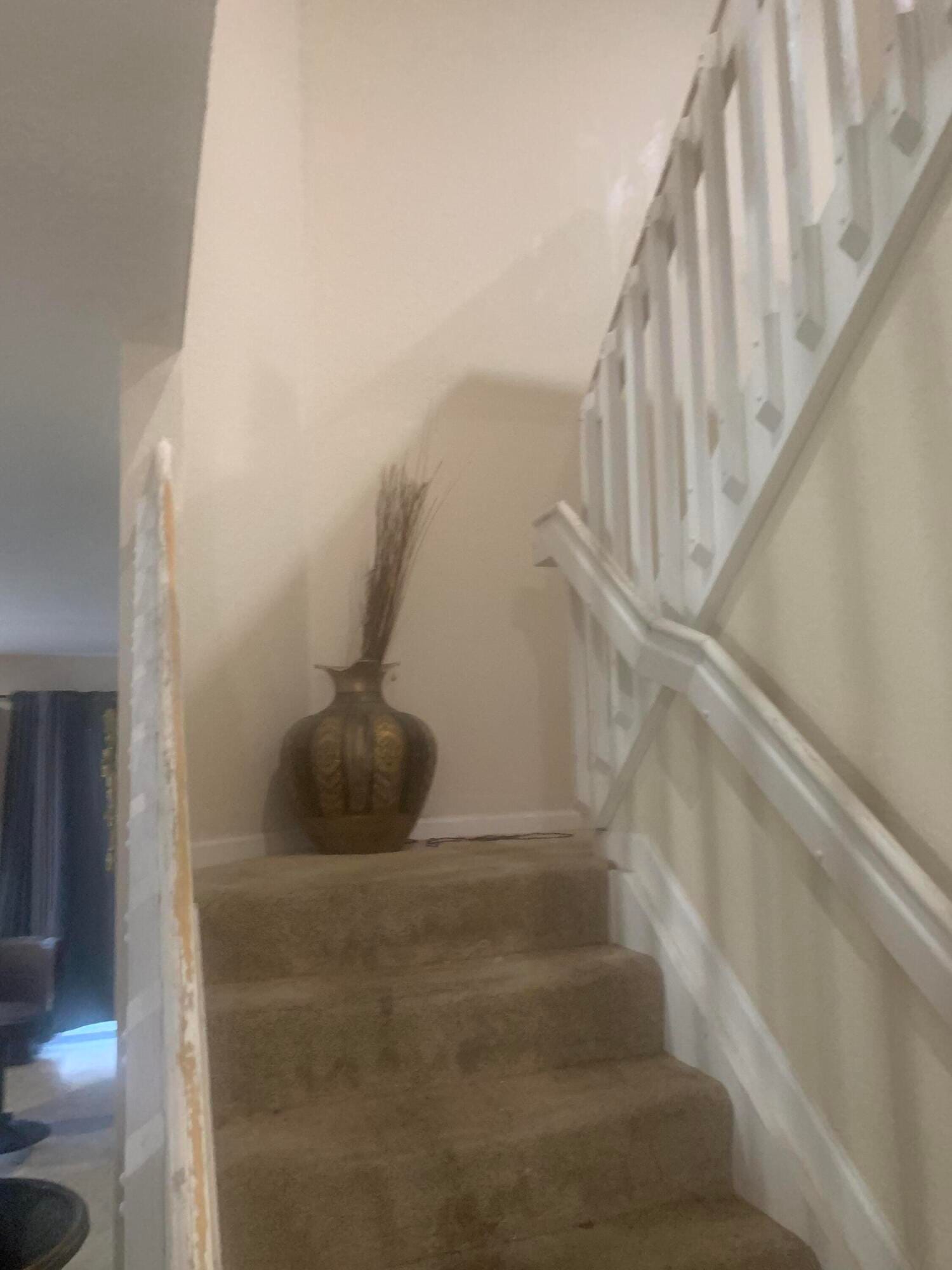 433 Gazetta Way — photo 10