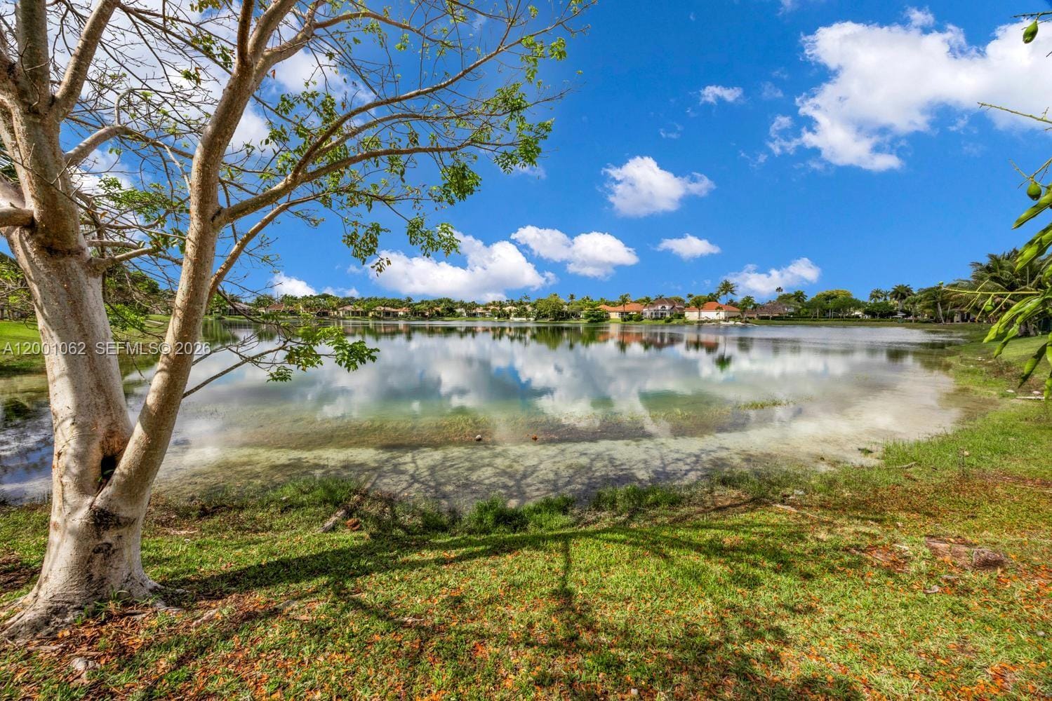 3110 SE 4th Place, Homestead, FL 33033 photo 24