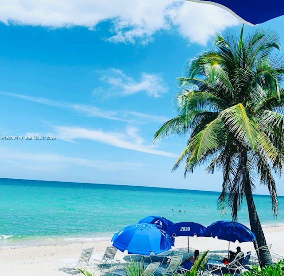 215 SE 3rd Avenue 306C, Hallandale Beach, FL 33009, Hallandale Beach