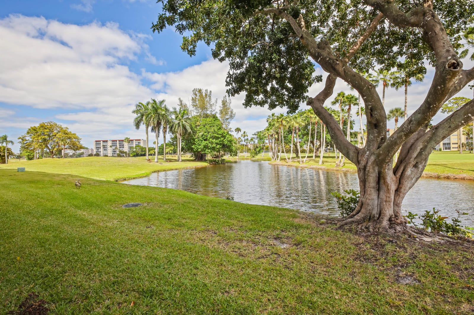 3595 Birdie Drive 108, Greenacres, FL 33467 photo 22