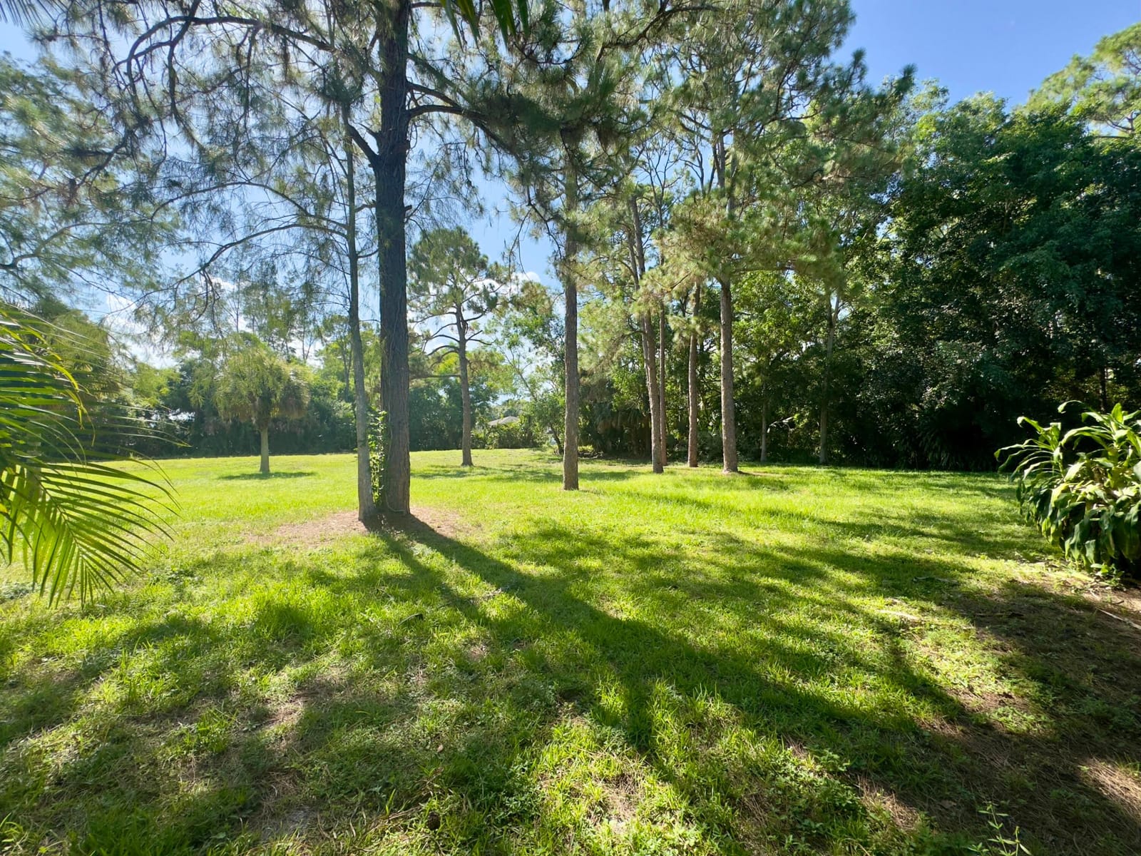 4901 N 129th Ave Avenue N, The Acreage, FL 33411 photo 22