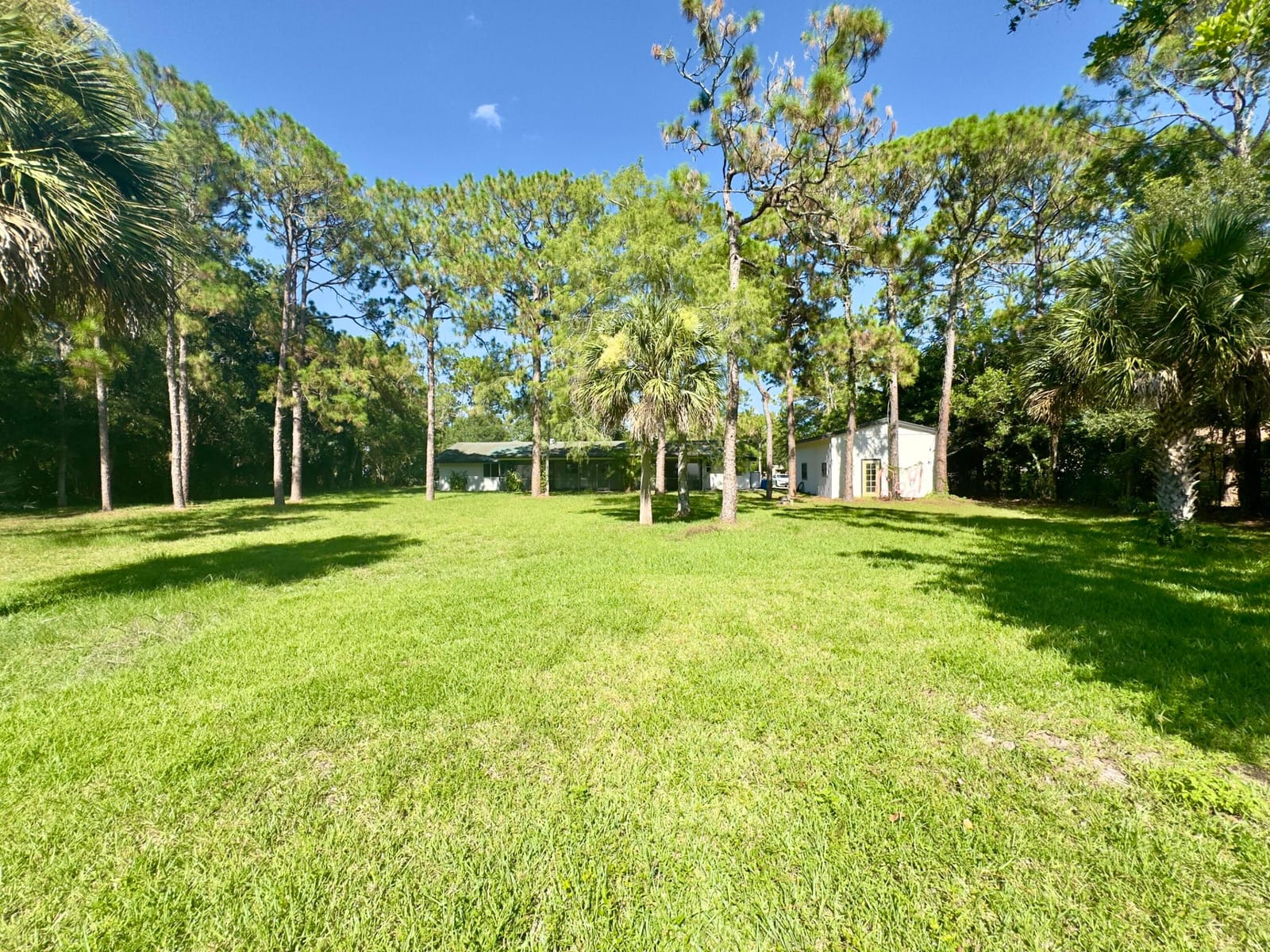 4901 N 129th Ave Avenue N, The Acreage, FL 33411 photo 24
