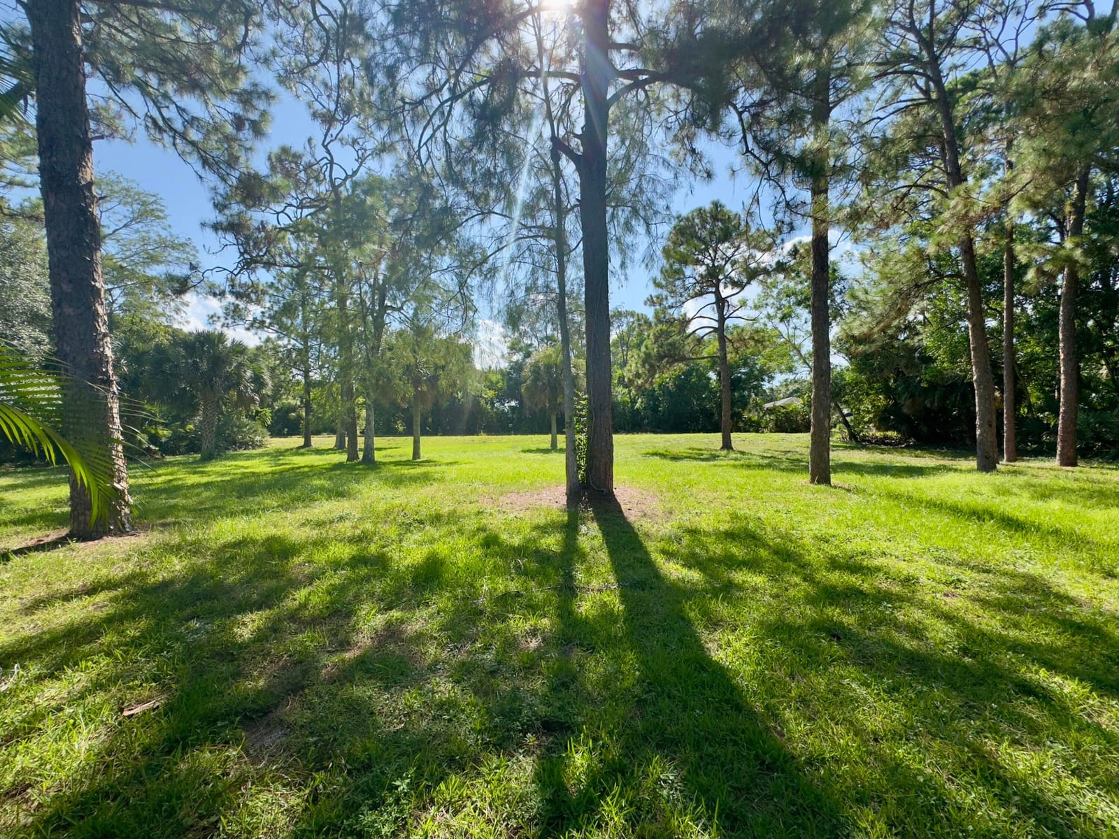 4901 N 129th Ave Avenue N, The Acreage, FL 33411 photo 25