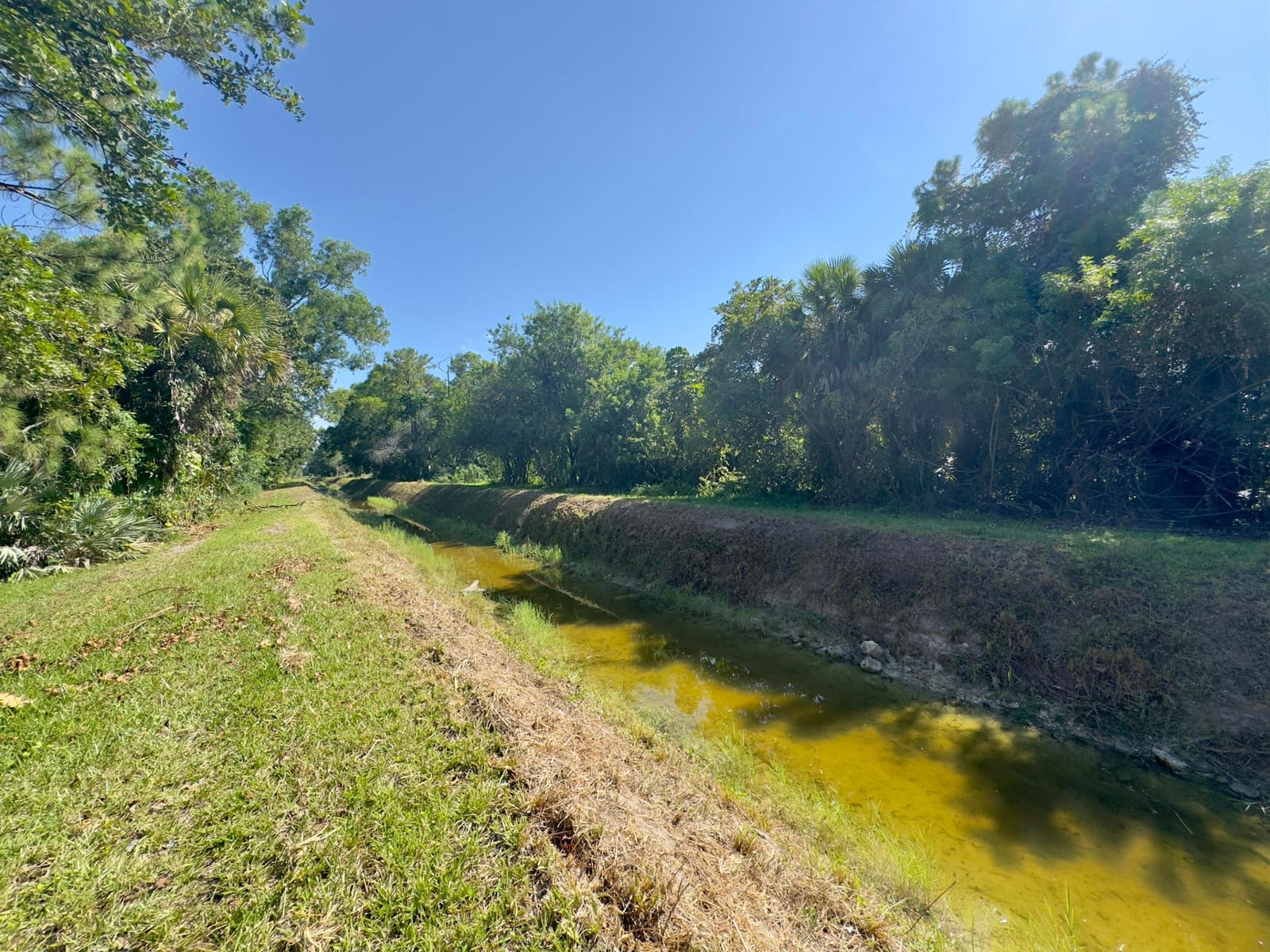 4901 N 129th Ave Avenue N, The Acreage, FL 33411 photo 26