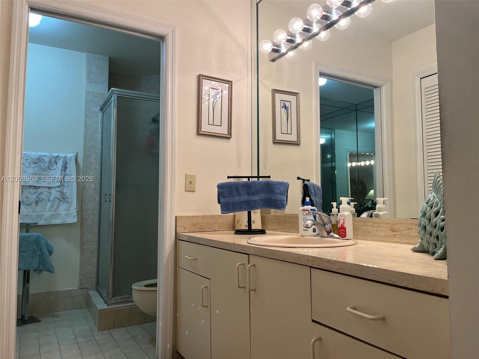 6061 SW 128th Court, Miami, FL 33183 photo 13