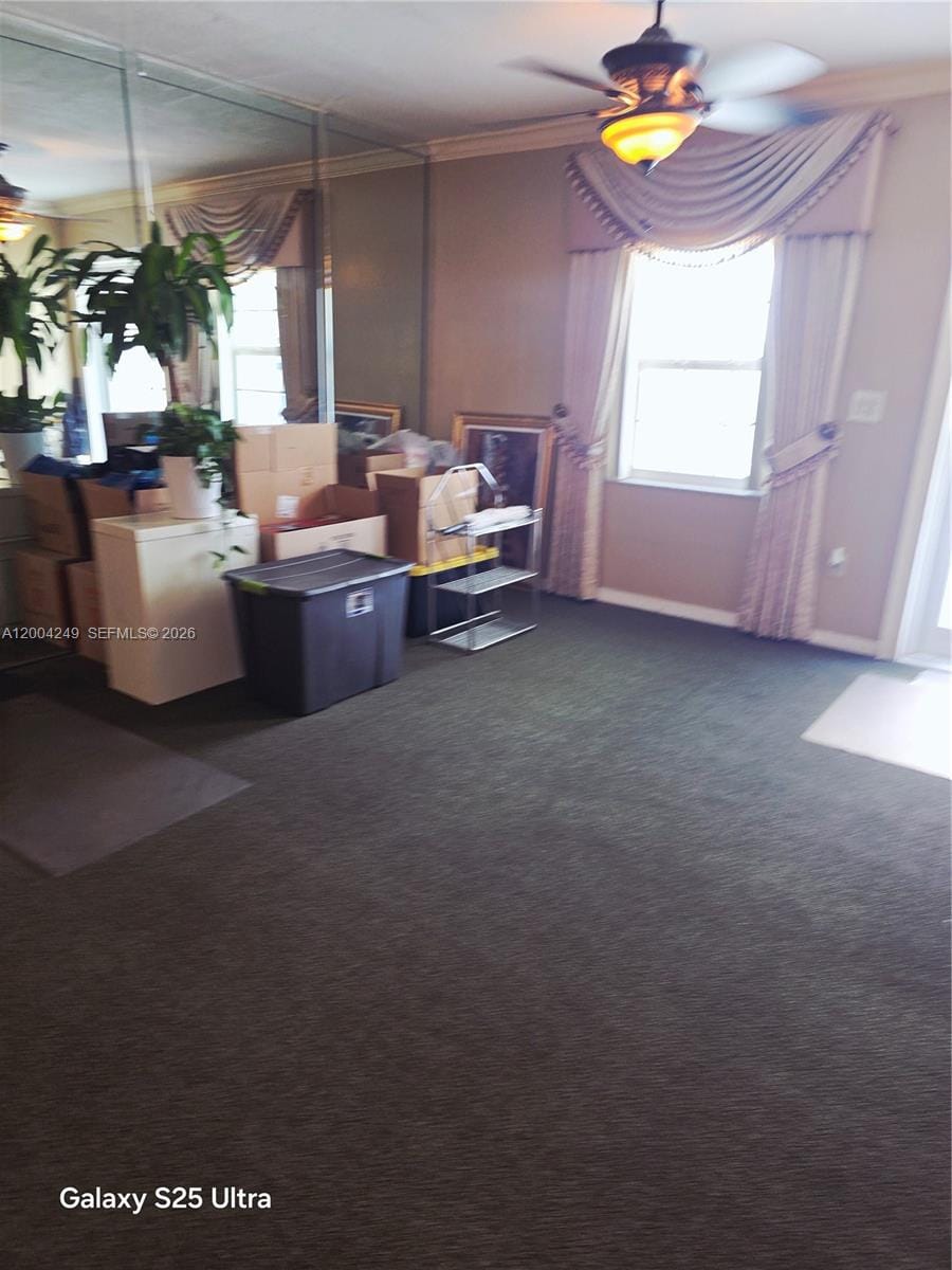 14441 Lincoln Boulevard, Miami, FL 33176 photo 6