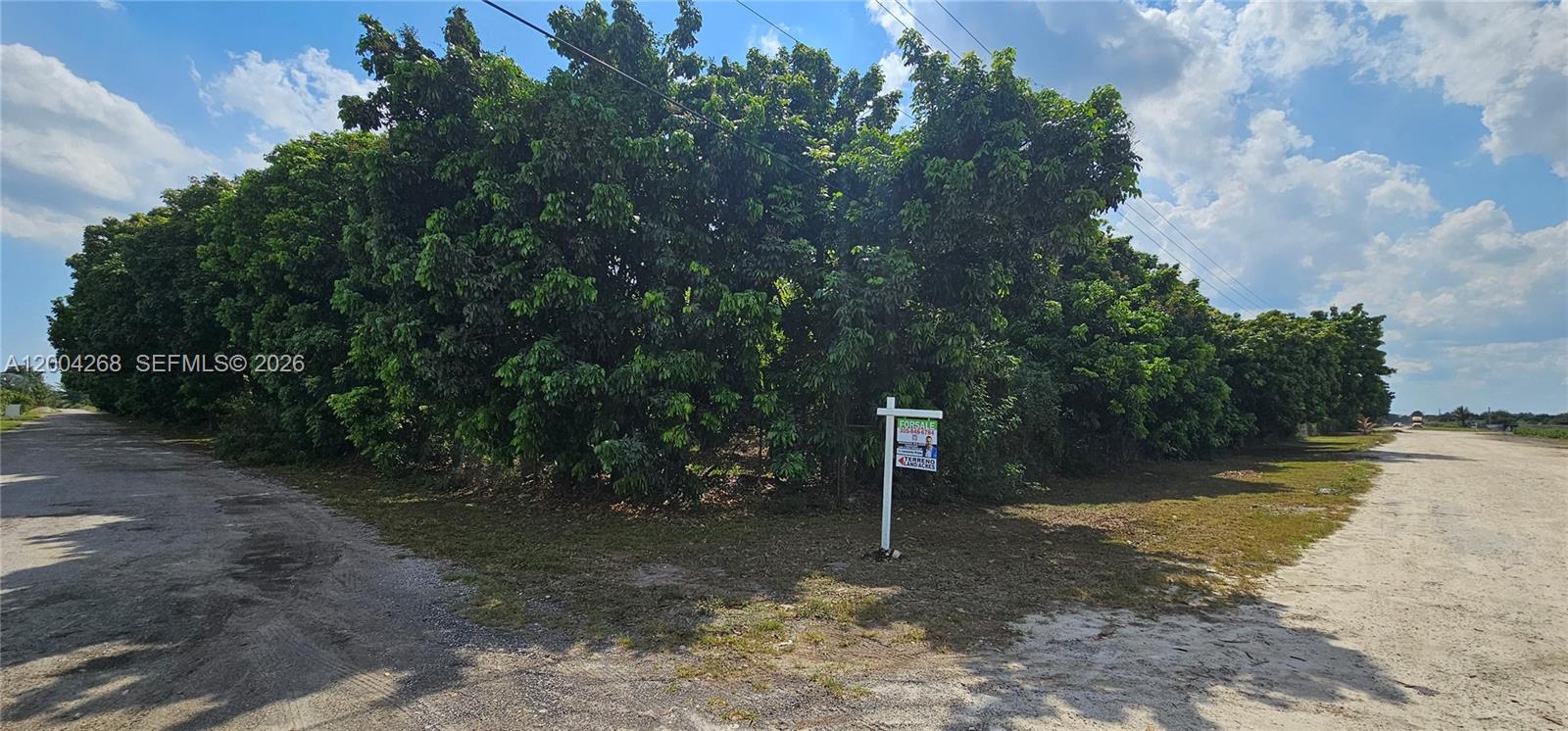15300 SW 193, Miami, FL 33187, Miami
