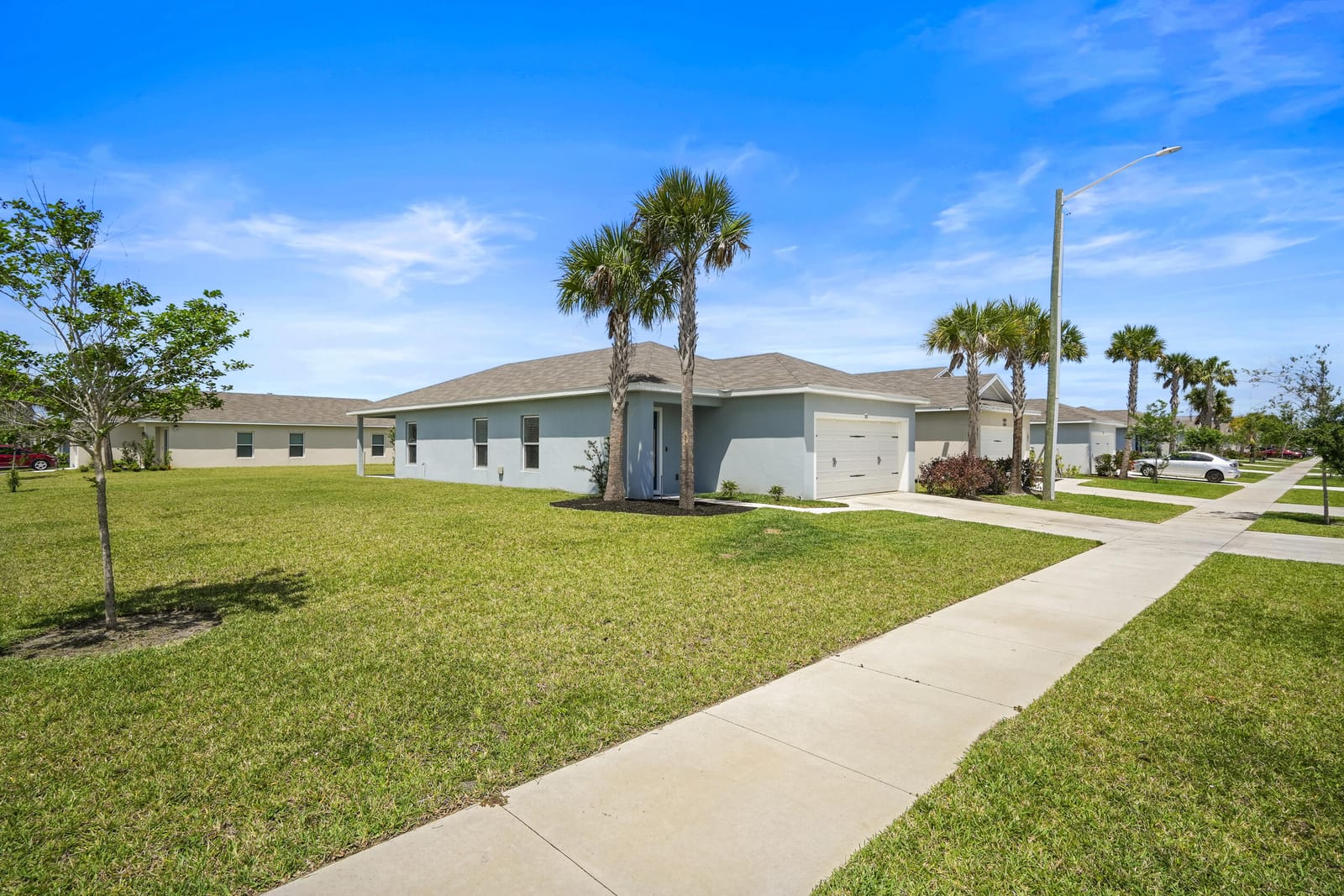 521 Cherimoya Street — photo 7