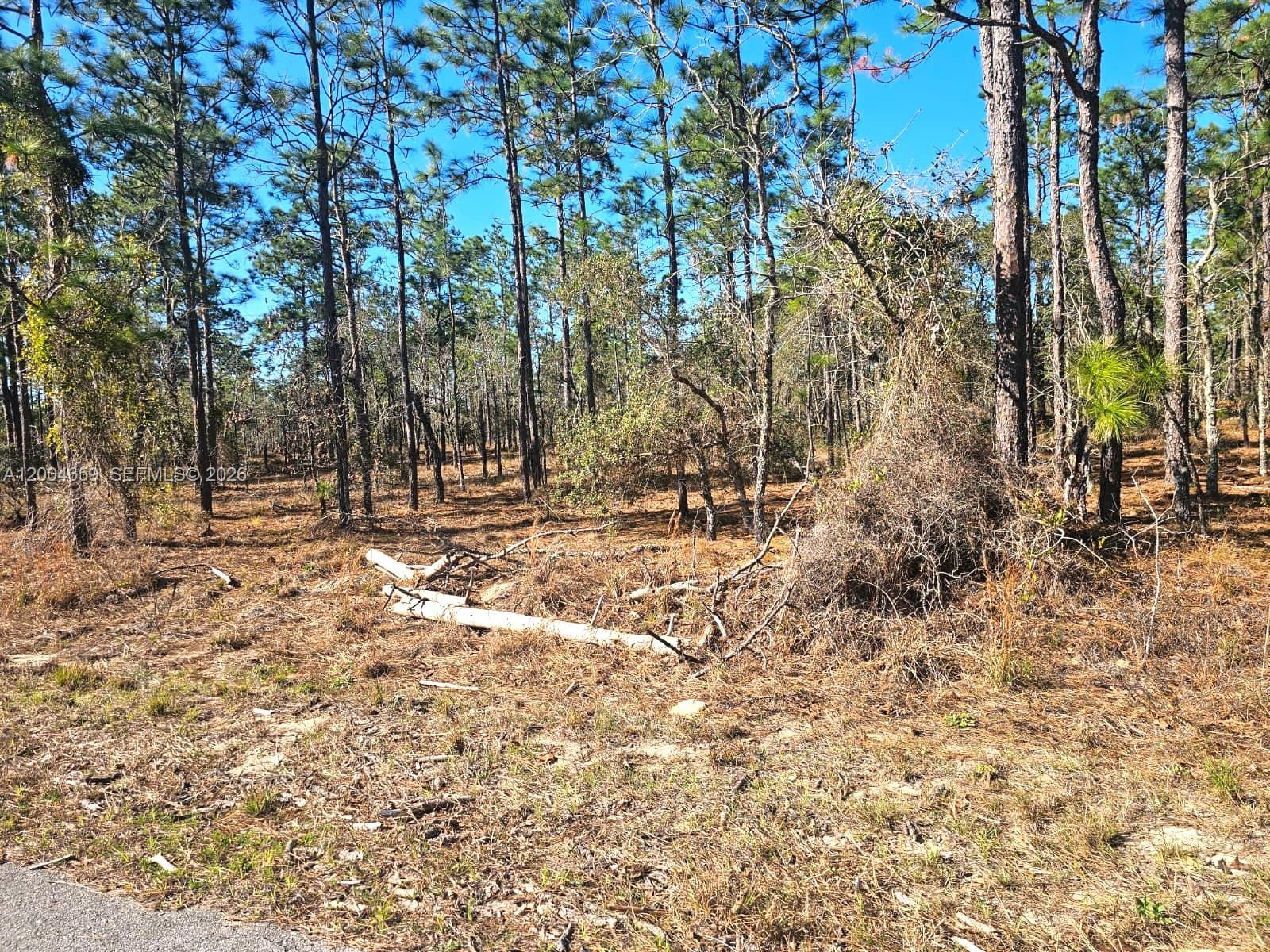 NO Situs NW No Situs Shamrock Avenue, FL 34431, Dunnellon