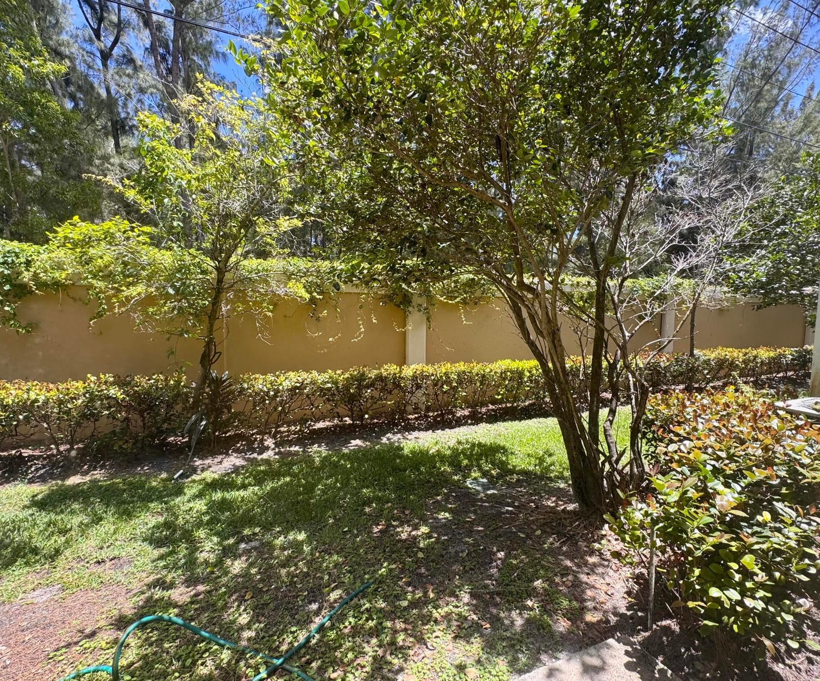 3730 N Jog Road 102, Royal Palm Beach, FL 33411 photo 17