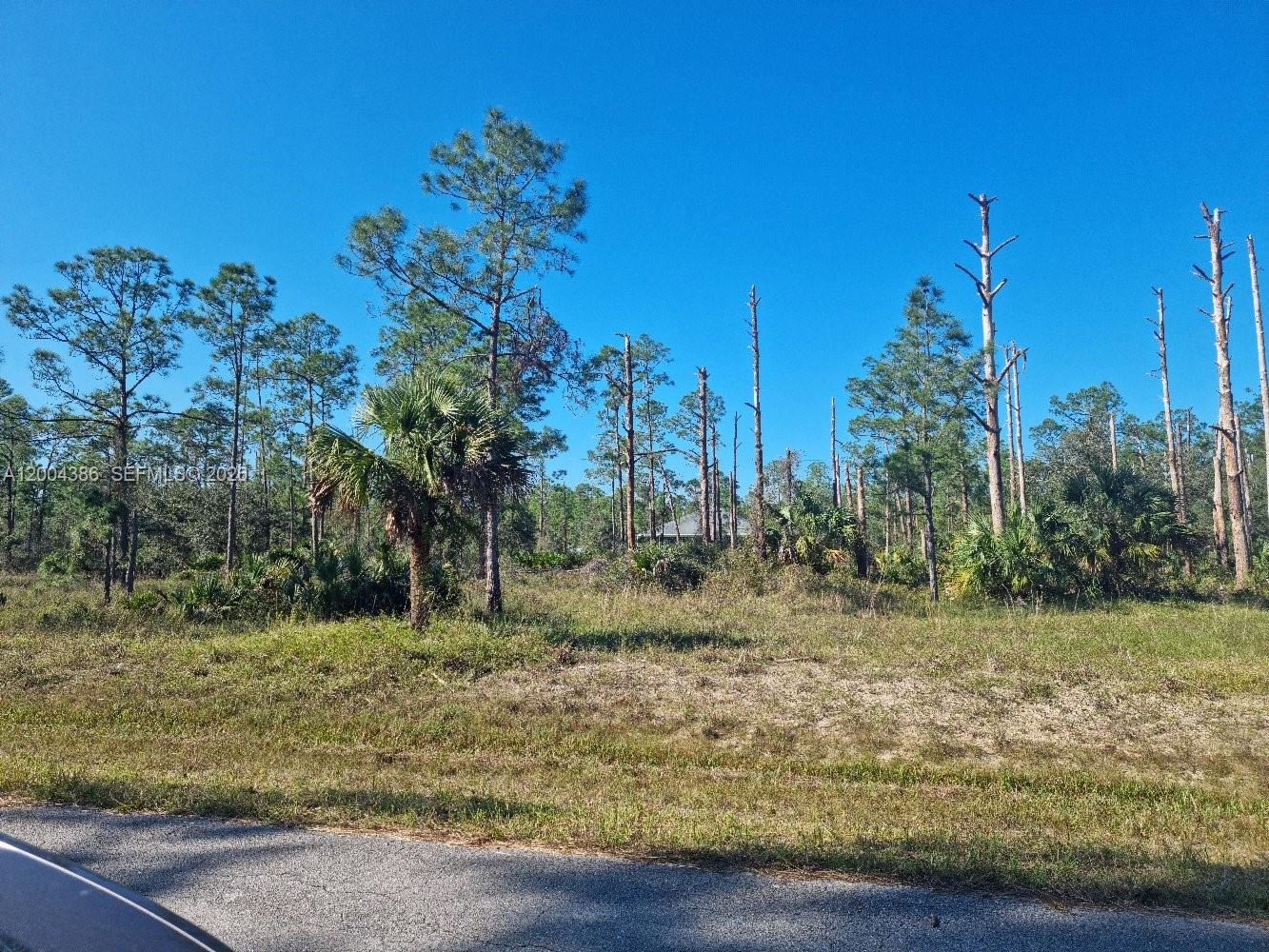2309 Wellington Avenue, FL 33920