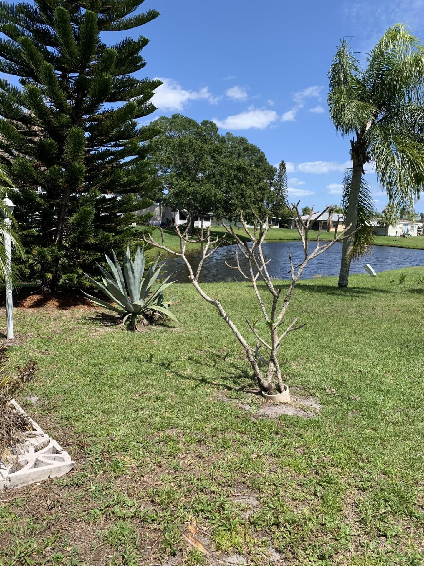 114 Camino Del Rio — photo 2