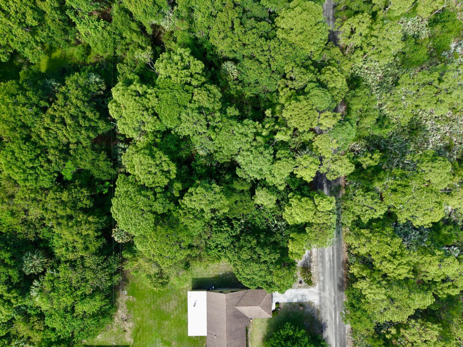 00 Notlem Drive — photo 8