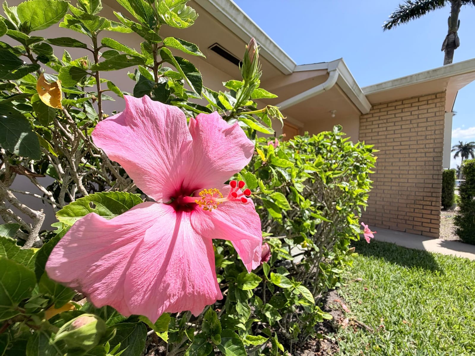 2607 Dudley Drive W L — photo 3