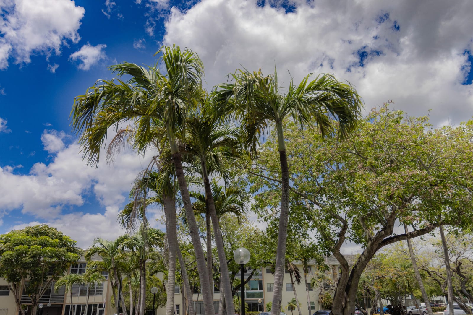 4980 E Sabal Palm Boulevard E 124, Tamarac, FL 33319 photo 17