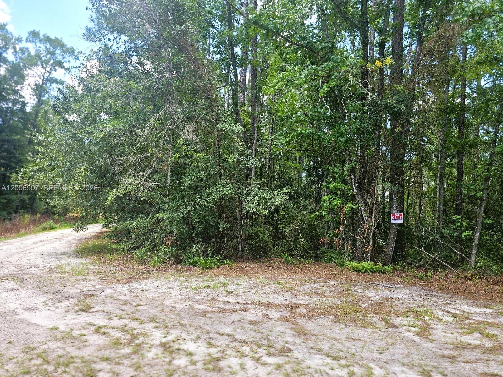 No situs No Situs Se 2nd Street, Palatka, FL 32177, Palatka