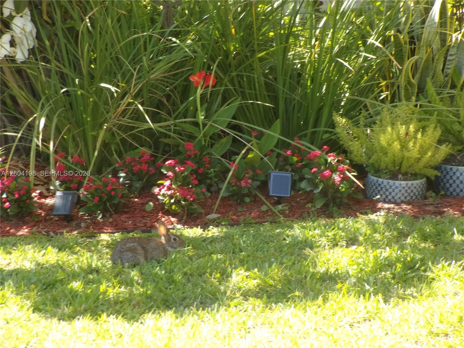 6543 Chasewood Drive H, Jupiter, FL 33458 photo 20