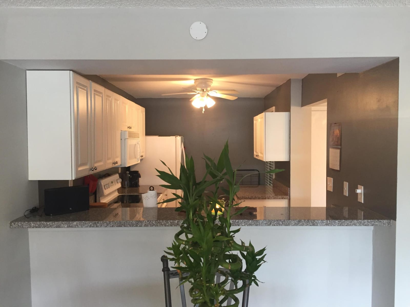 10 Royal Palm Way 2030 — photo 2