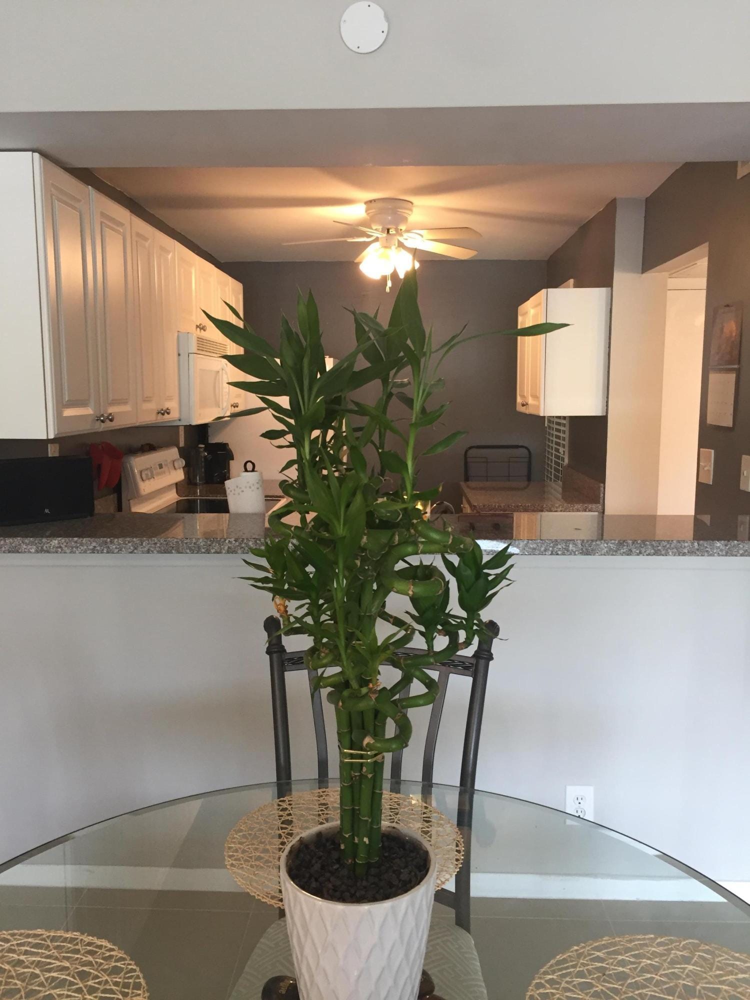 10 Royal Palm Way 2030 — photo 4