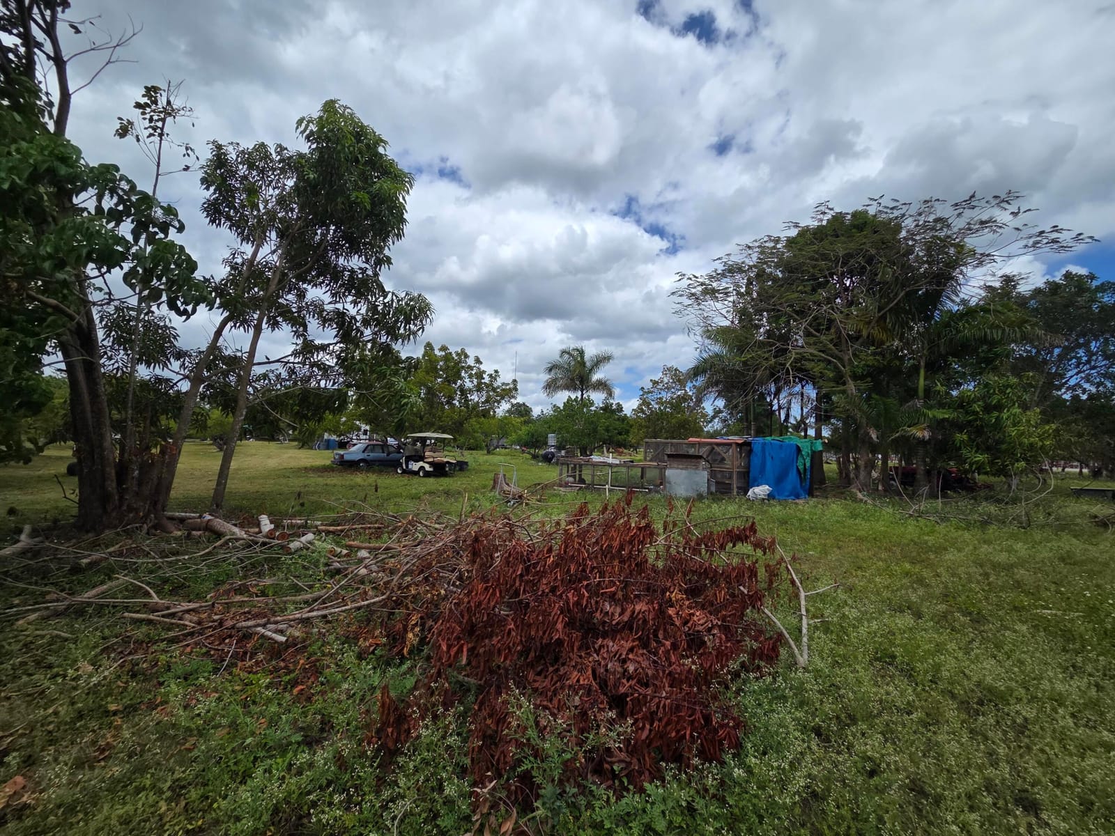 Xxx SW 264th Street, Homestead, FL 33031 photo 11