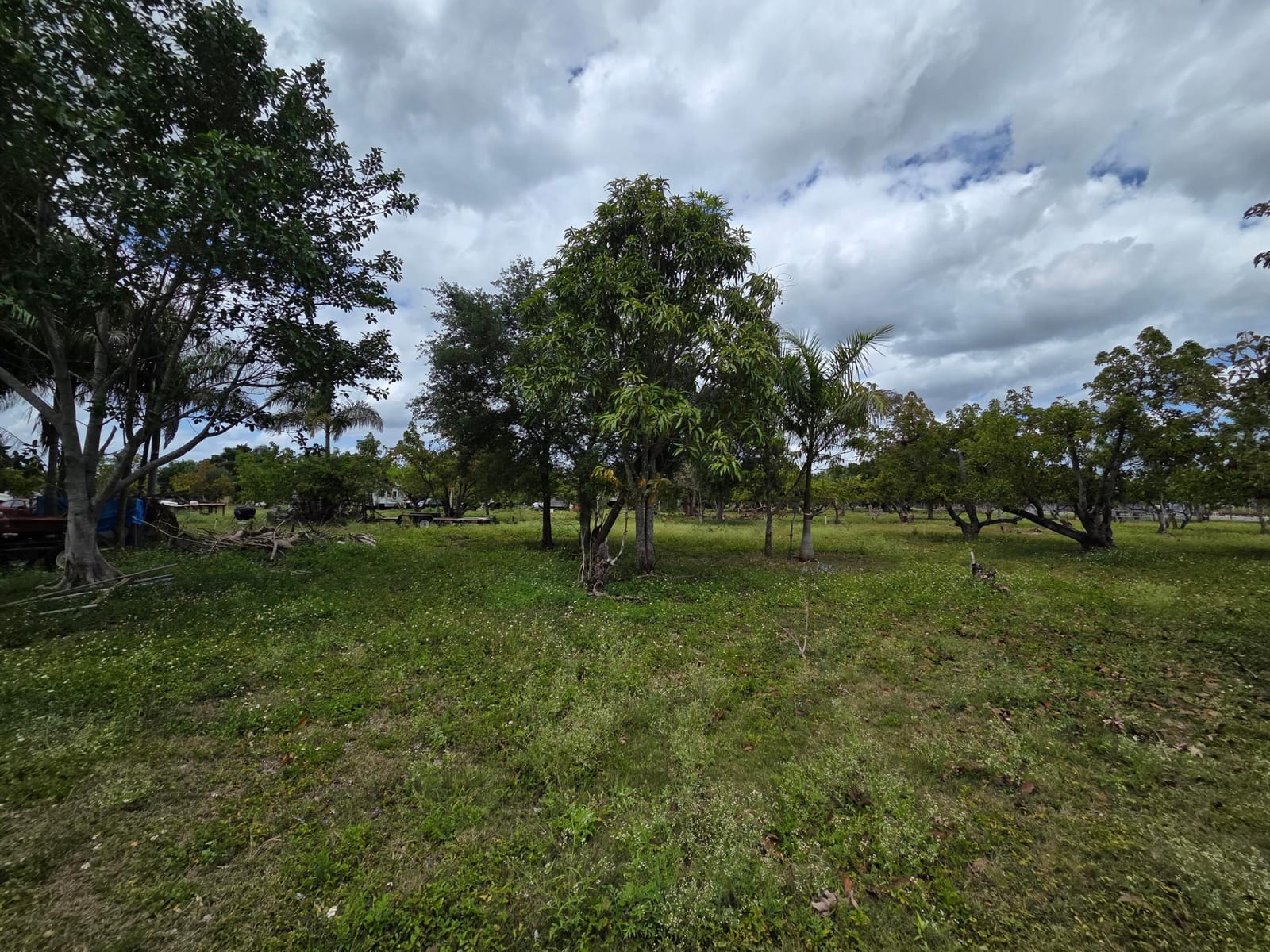 Xxx SW 264th Street, Homestead, FL 33031 photo 14