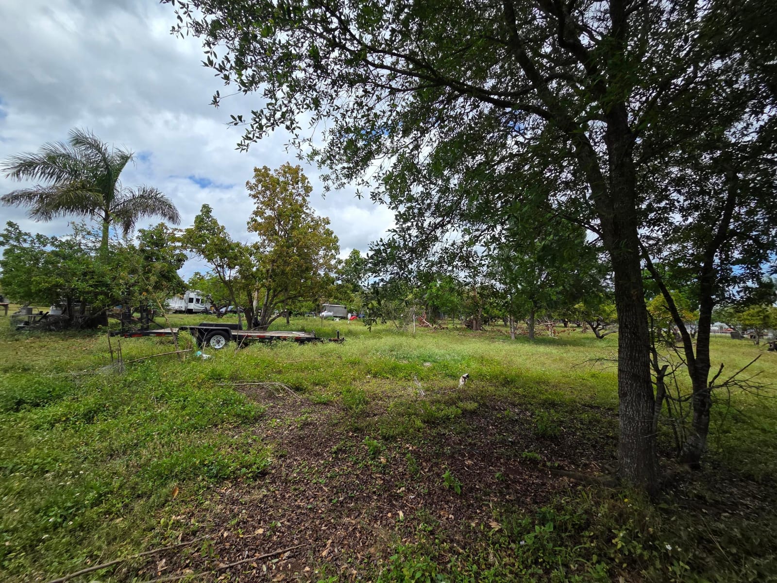 Xxx SW 264th Street, Homestead, FL 33031 photo 15