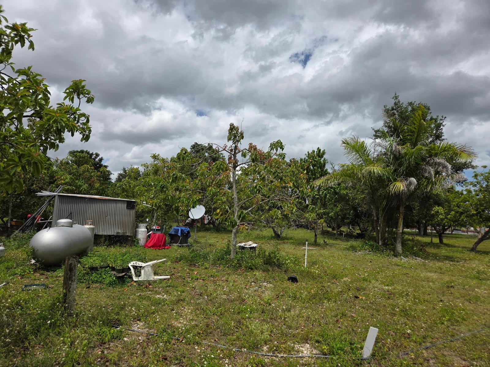 Xxx SW 264th Street, Homestead, FL 33031 photo 20