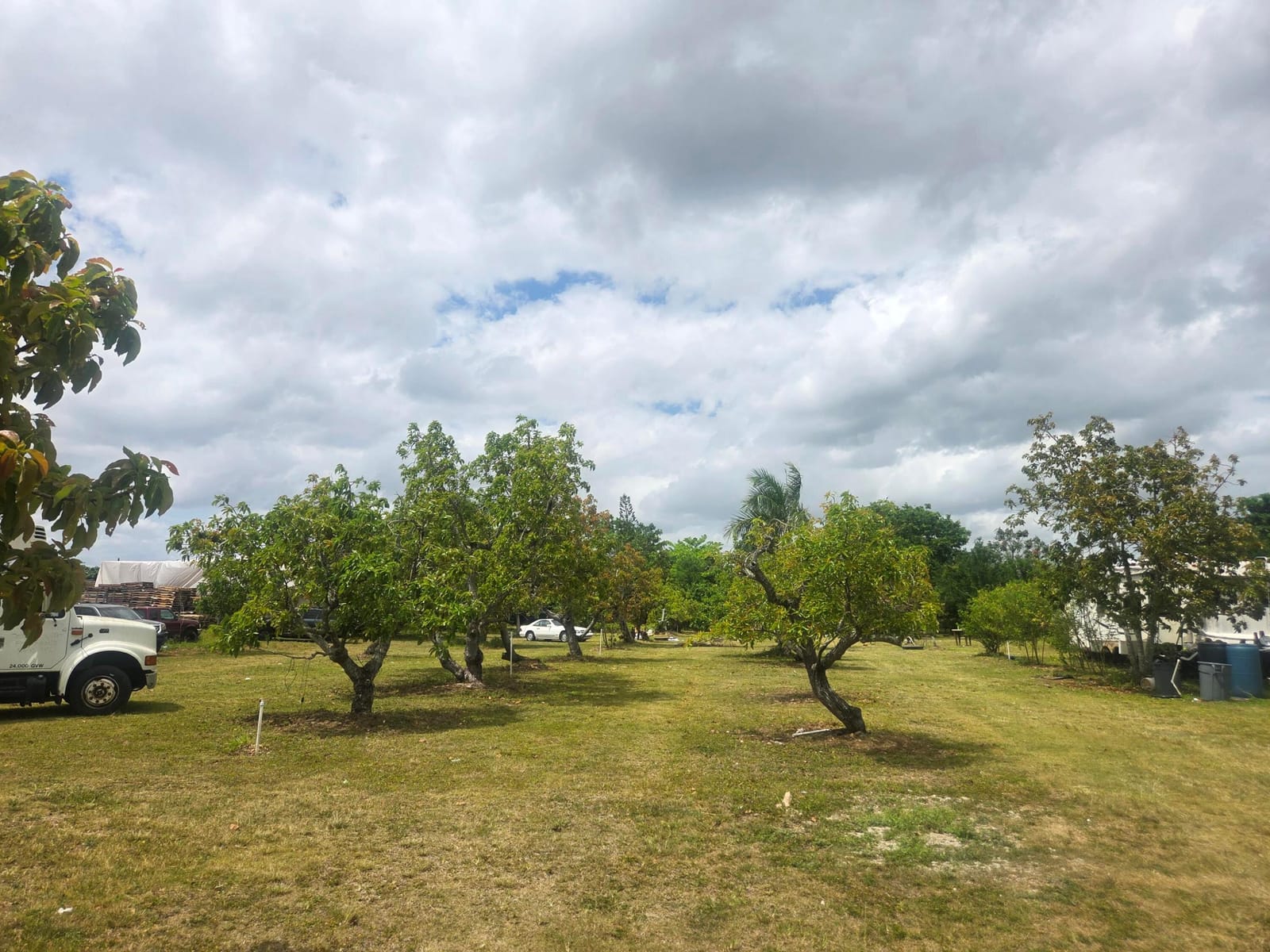 Xxx SW 264th Street, Homestead, FL 33031 photo 21