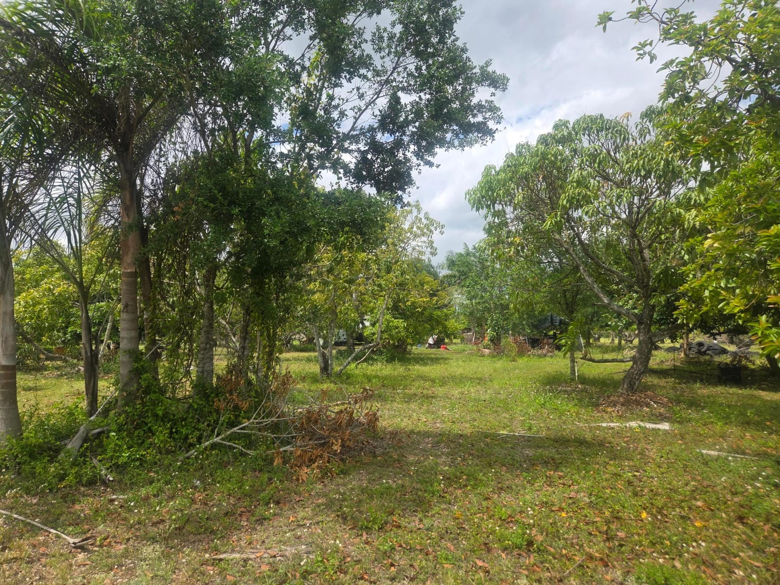 Xxx SW 264th Street, Homestead, FL 33031 photo 22