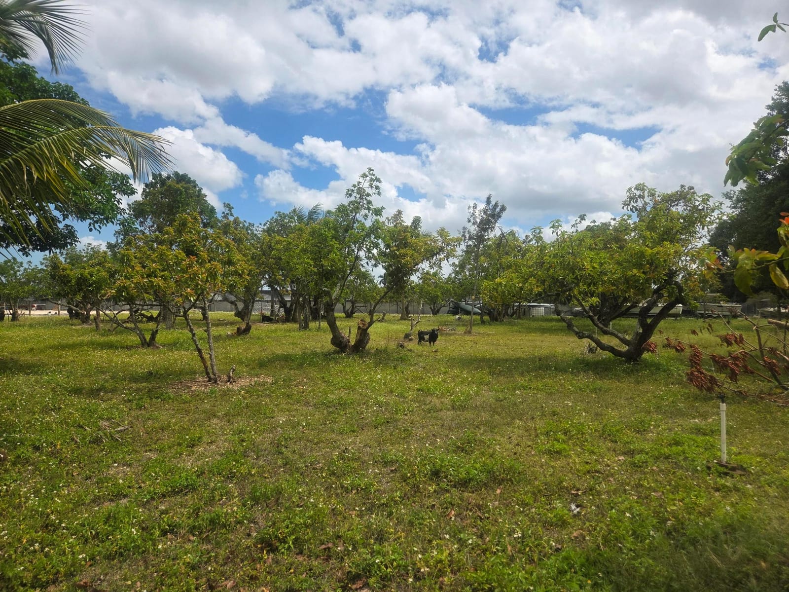 Xxx SW 264th Street, Homestead, FL 33031 photo 23