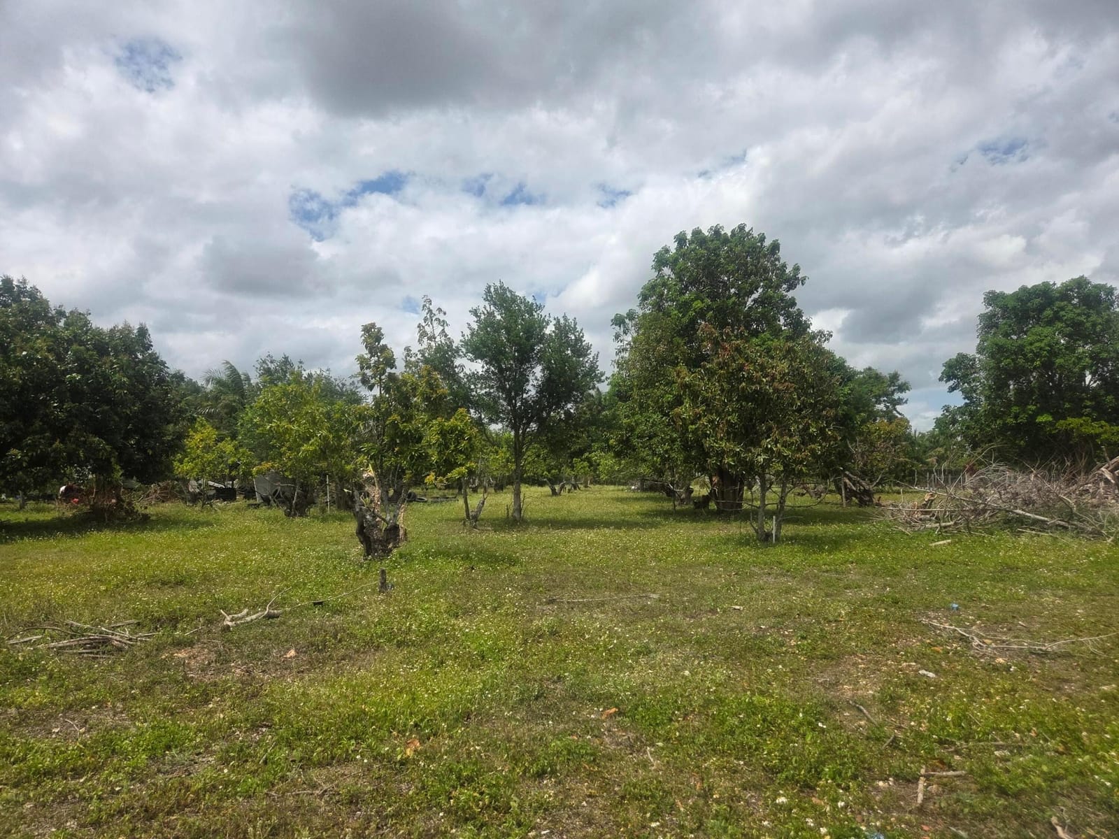 Xxx SW 264th Street, Homestead, FL 33031 photo 24