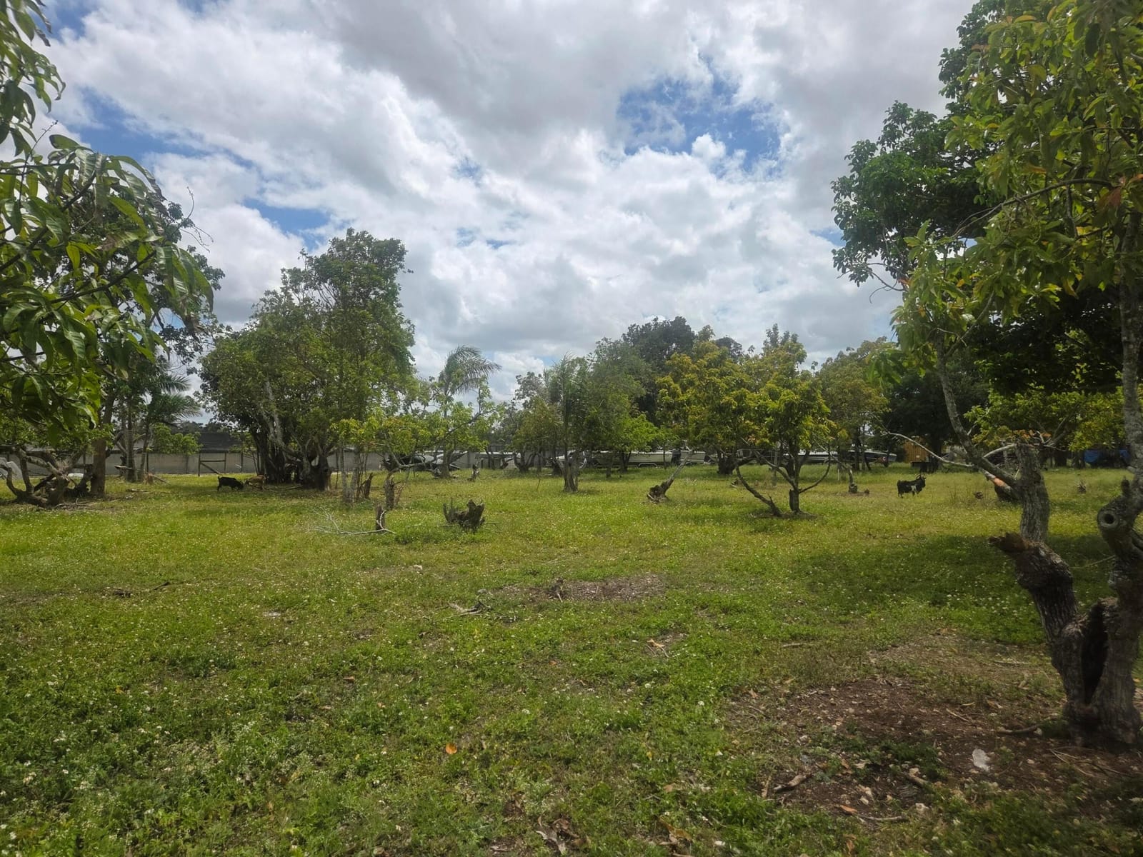 Xxx SW 264th Street, Homestead, FL 33031 photo 25