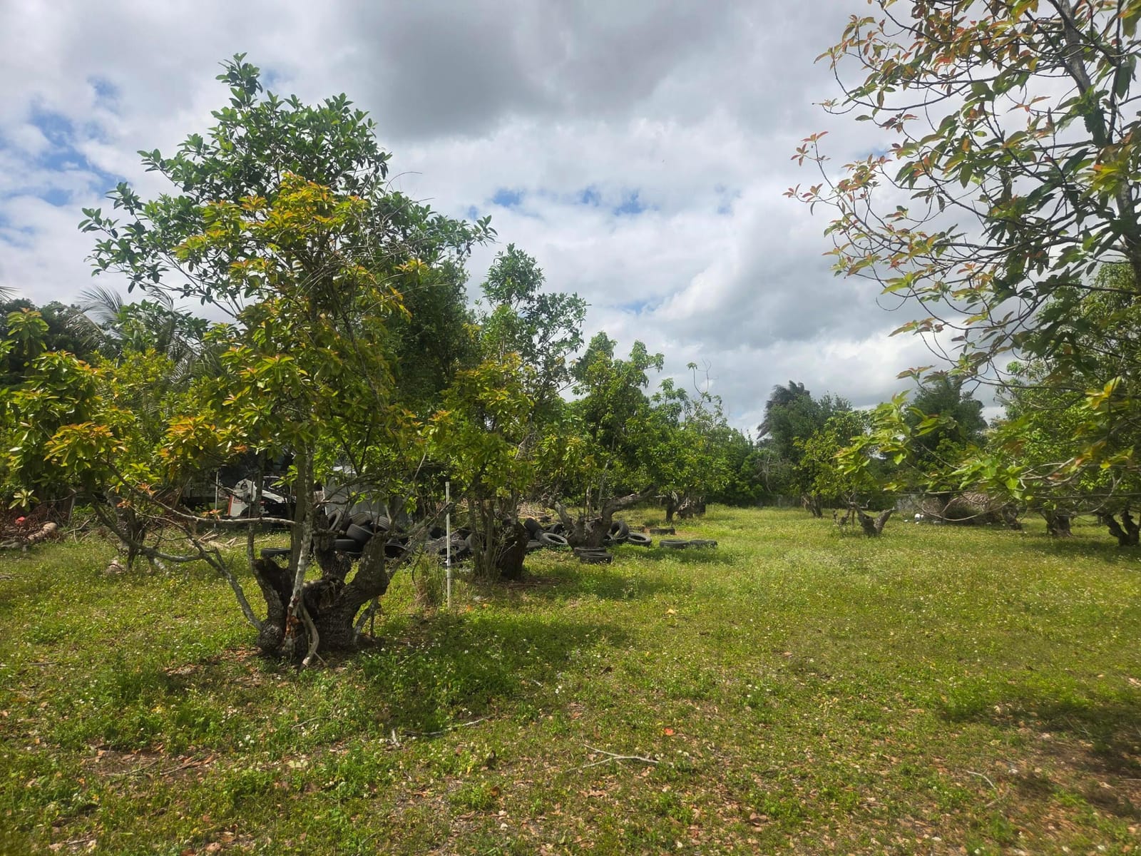 Xxx SW 264th Street, Homestead, FL 33031 photo 26