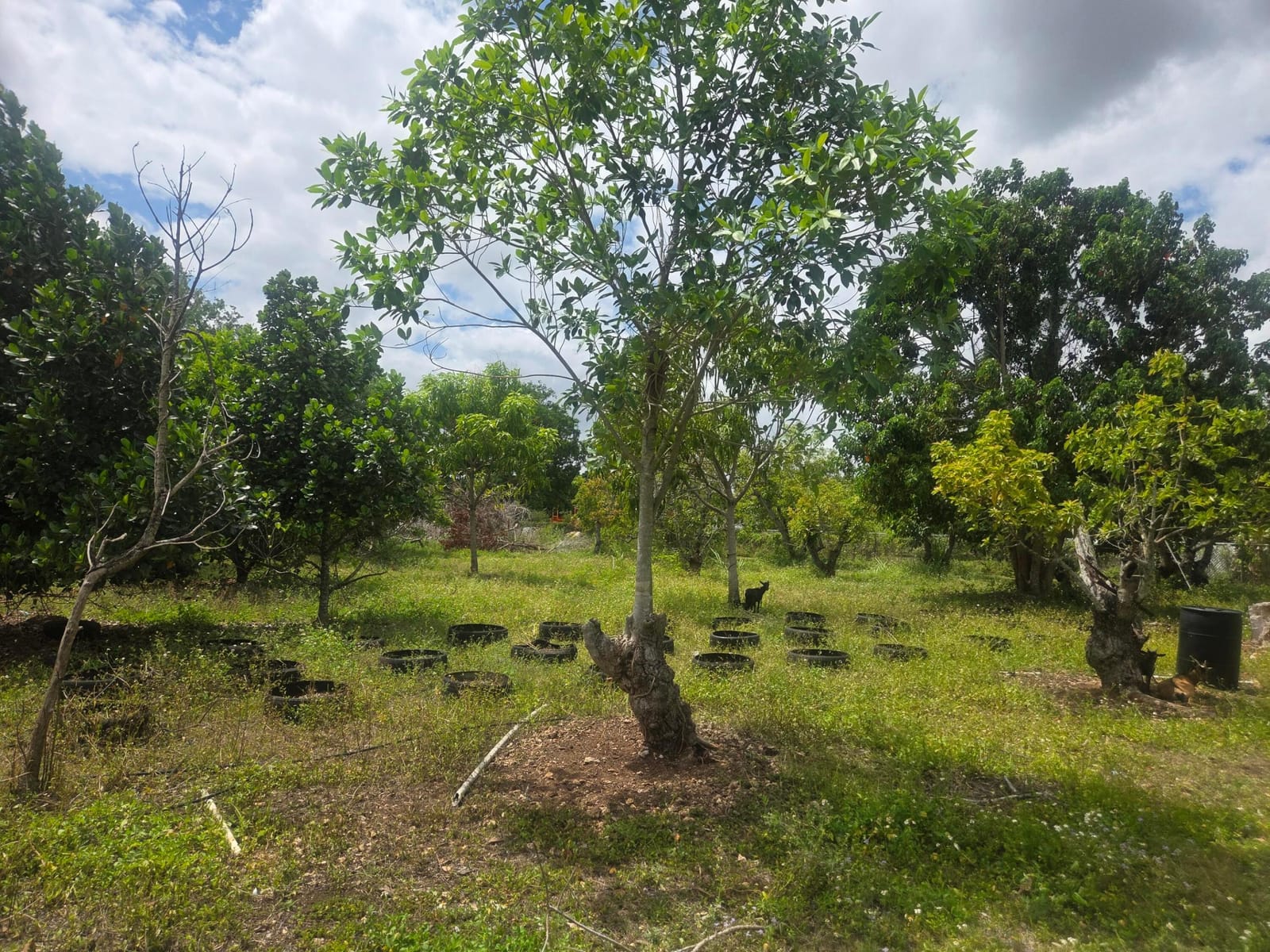 Xxx SW 264th Street, Homestead, FL 33031 photo 28