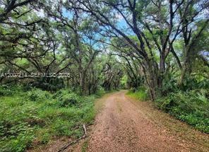 1040 Kirby Thompson Road, FL 33935, Labelle