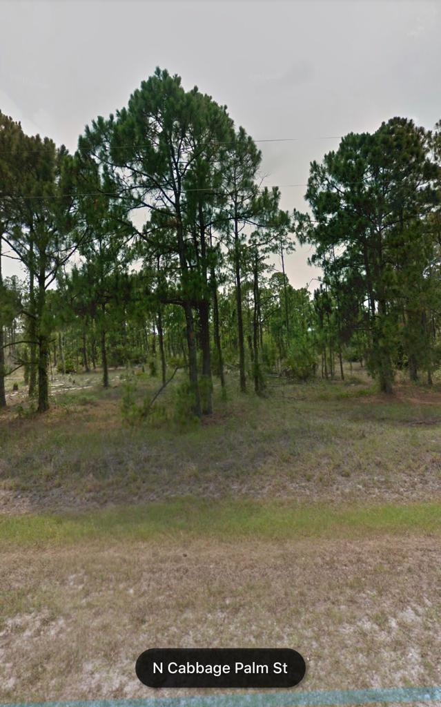 470 N Cabbage Palm Street, Clewiston, FL 33440, Clewiston
