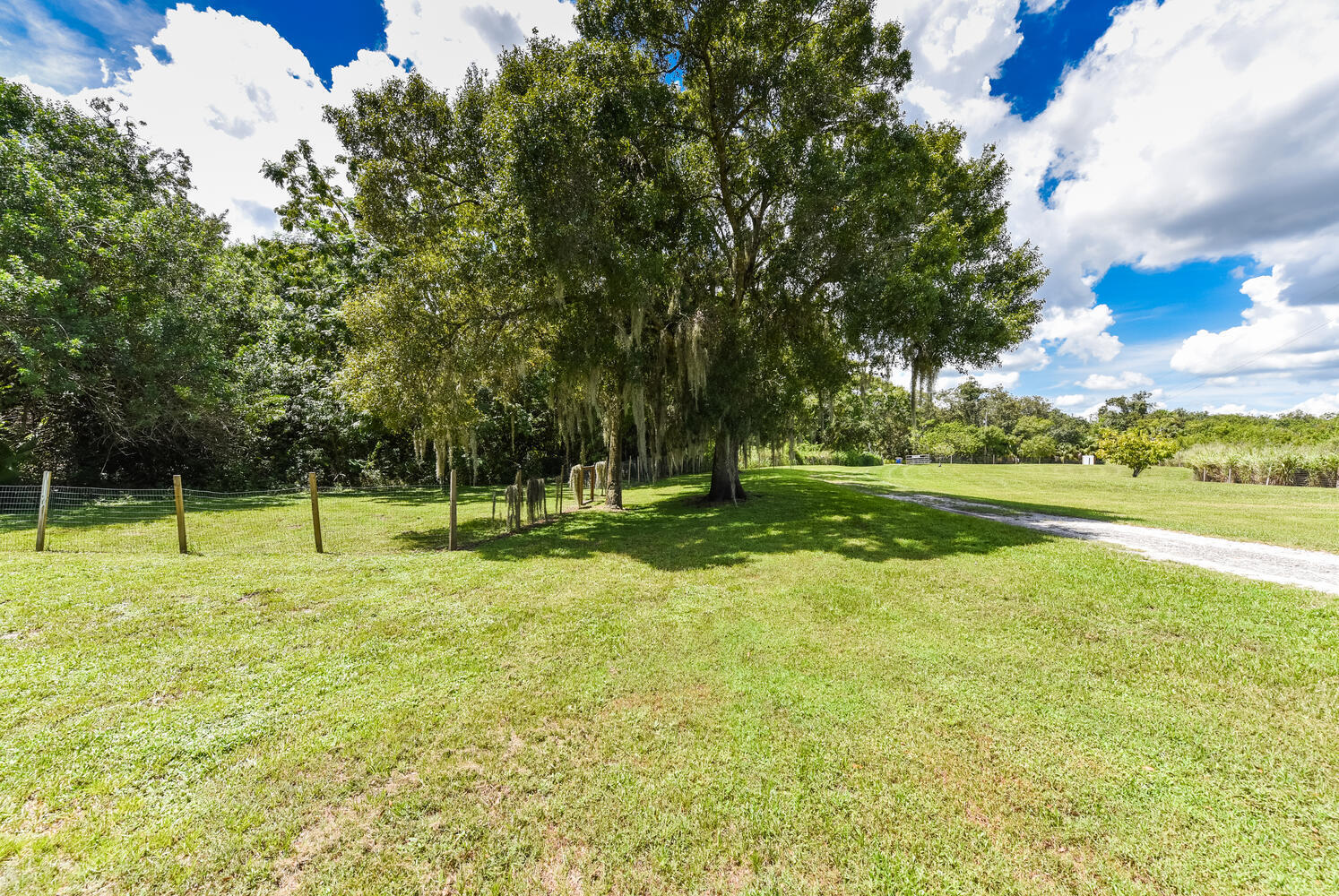 3646 S Jenkins Road, Fort Pierce, FL 34981 photo 26